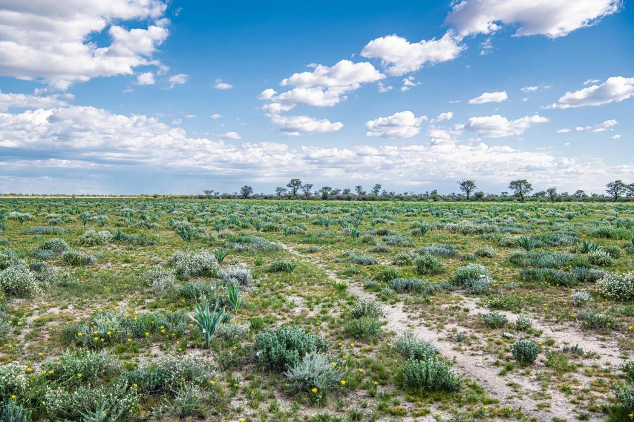 Farmstay Okakeua Окаханджа Екстер'єр фото